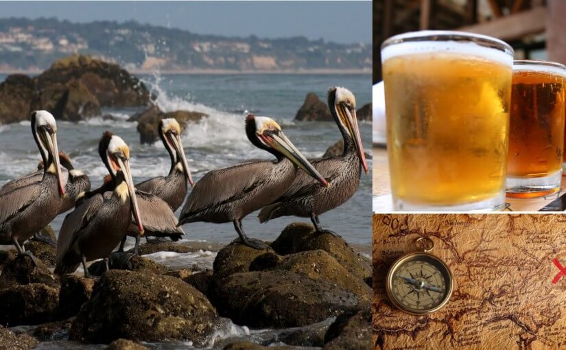 Birds, Beer & Treasure: 3 Unusual Oregon Coast Spring Activities